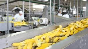 Food Industry
