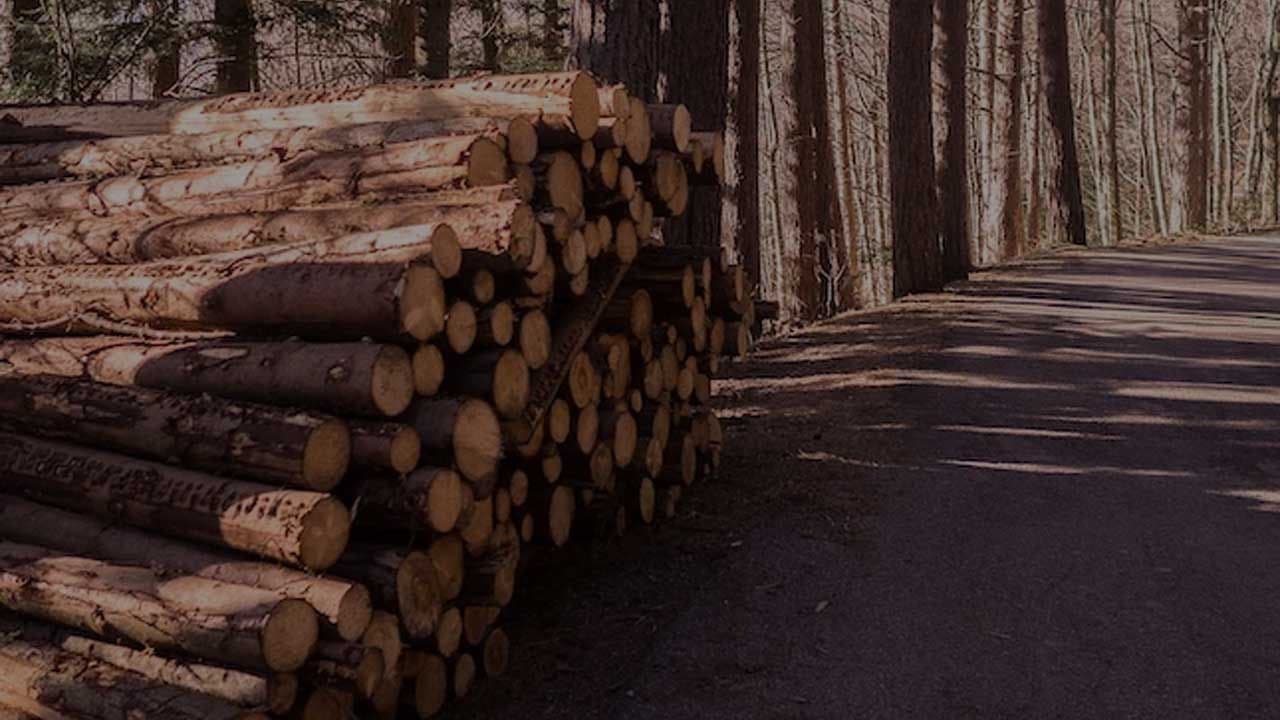 Sustainable Practices with FSC Certification