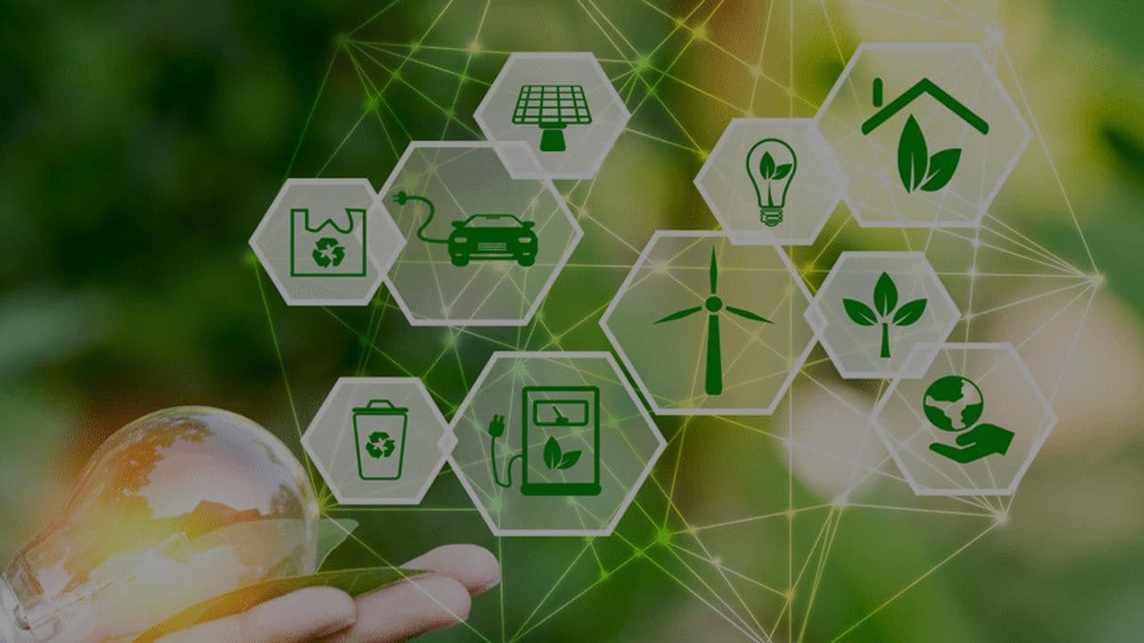 Unlock Sustainability with RCS Certification: Your Guide to Eco-Friendly Standards