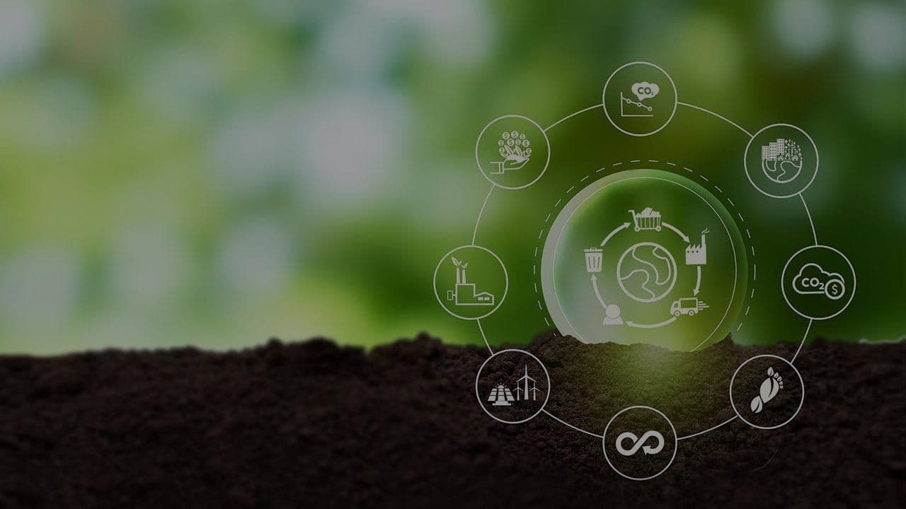 Sustainability and Trust with OCS Certification for Textiles